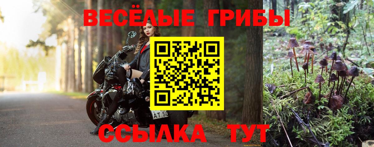 где купить   Вход с VPN  Красноармейск  Галлюциногенные грибы мицелий 